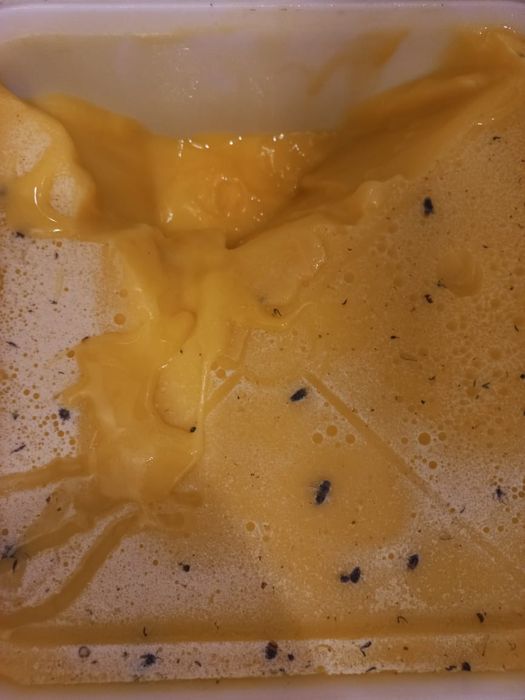 Мёд оптом натуральный