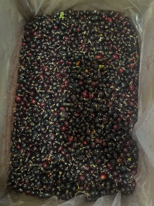 замороженная клюква