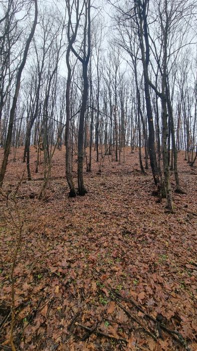 Teren comuna Dobresti (Arges)