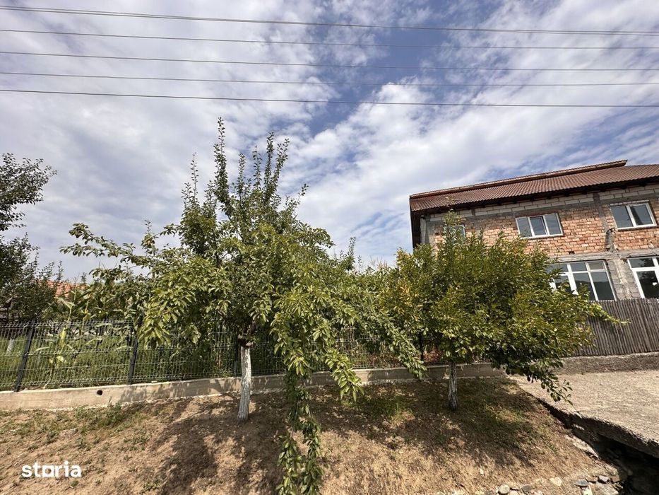Casa/Spatiu Comercial - Genuneni