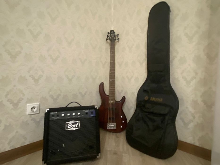 Электрогитара с басом и чехлом
