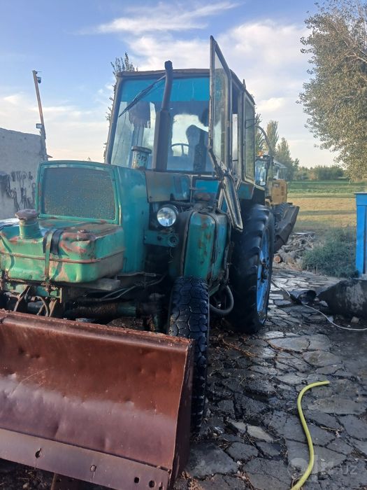 Yumz sotiladi buxoro viloyatida