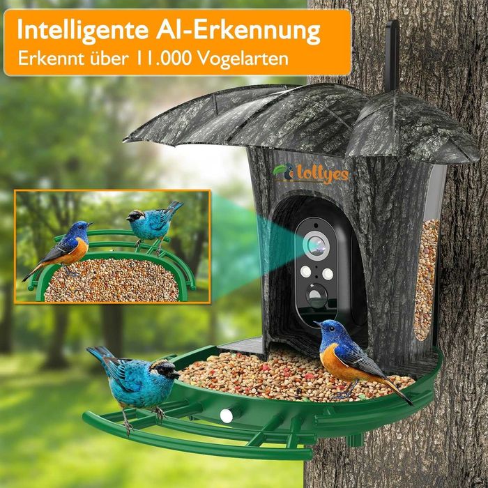 Инсталация за наблюдение на птици Lollyes Bird Feeder с камера