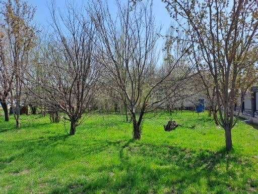 Продам дом с участком