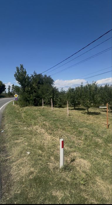 Teren Razvad/Targoviste 1300mp