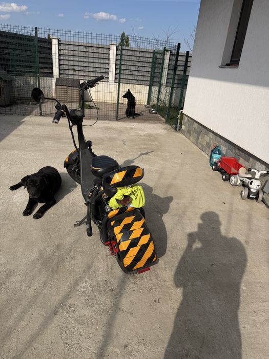 Scuter electric citycoco