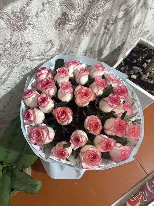 Розы свежие красивые