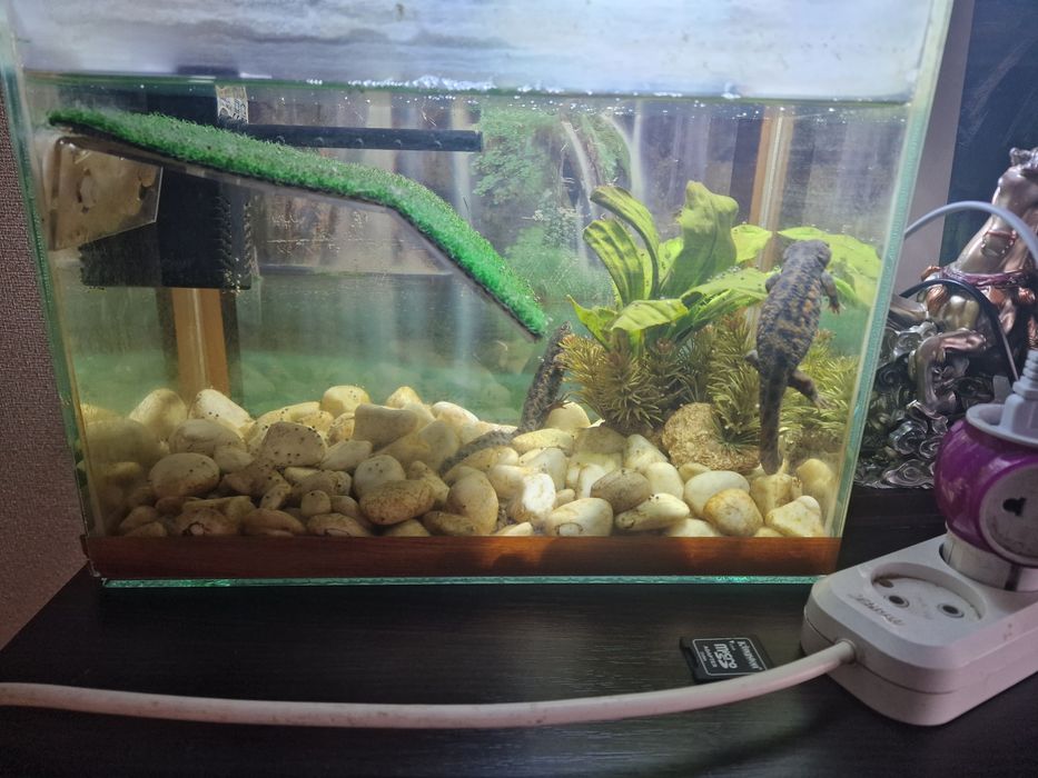 Продам 3 аквариума со стеллажём