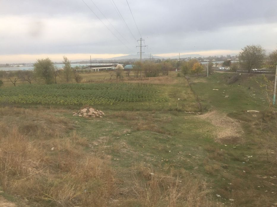 Сарагач Жер сатылад