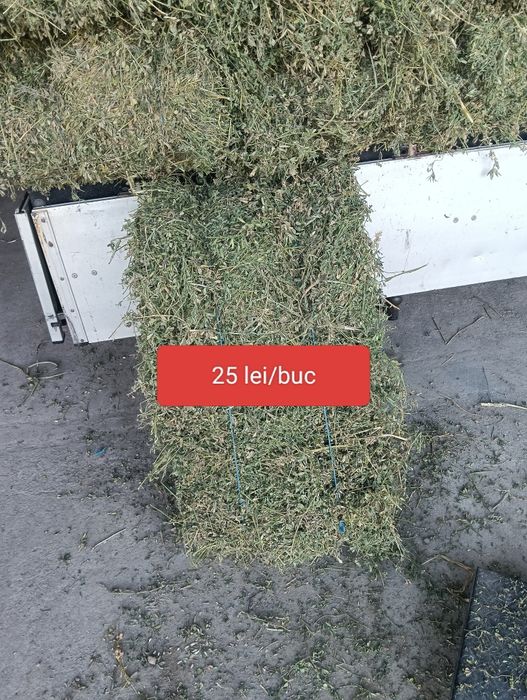 Baloți mici de lucernă