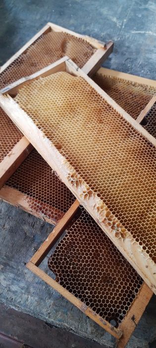 Продавам пчелни рамки