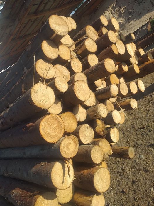 Căpriori rotunzi, bile,lețuri.