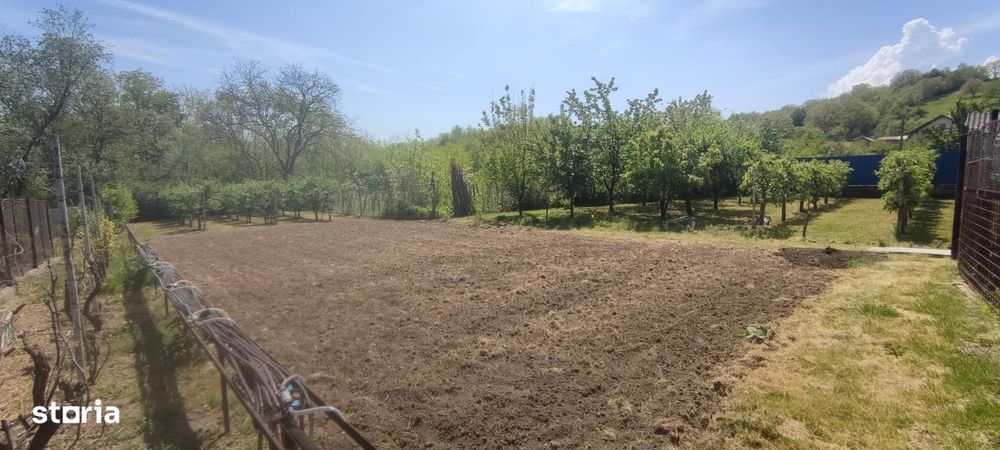 Casa renovata, utilitati complete (Gaz) + 1900 mp teren – Scurta, BC