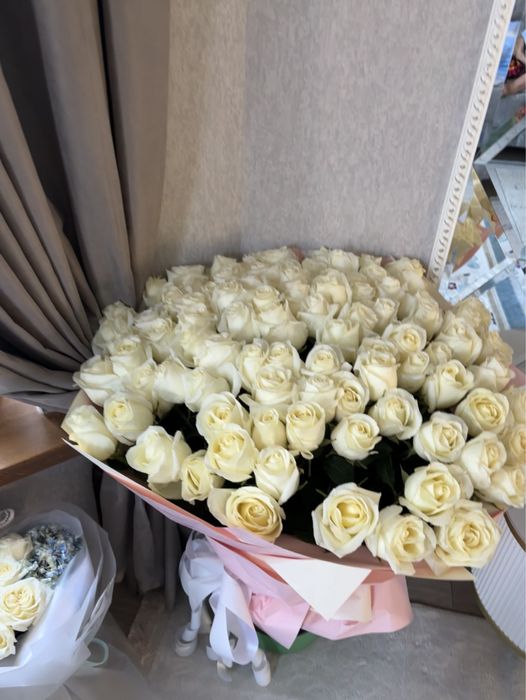 101 роза метровая