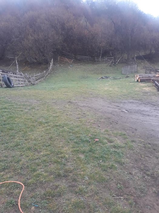 Vand teren Muresenii Bargaului