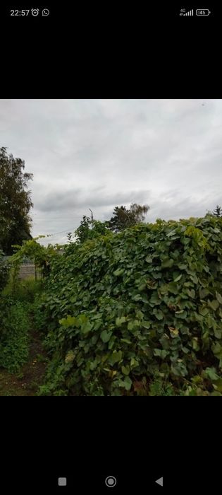 Продам дачу реченка