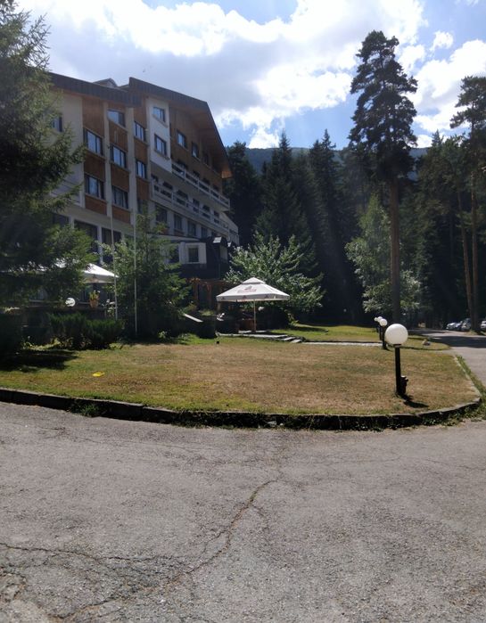 Продава се Парцел в с. Паничище, Област Кюстендил - 2500 кв.м за 80 €/кв.м - Снимка #2