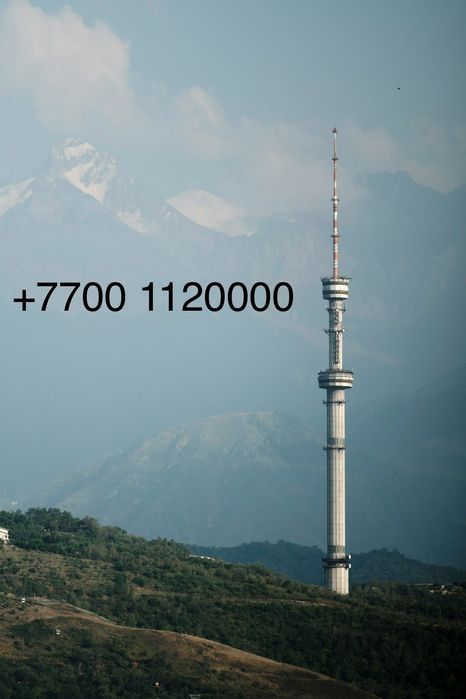 Номер сотового оператора Алтел