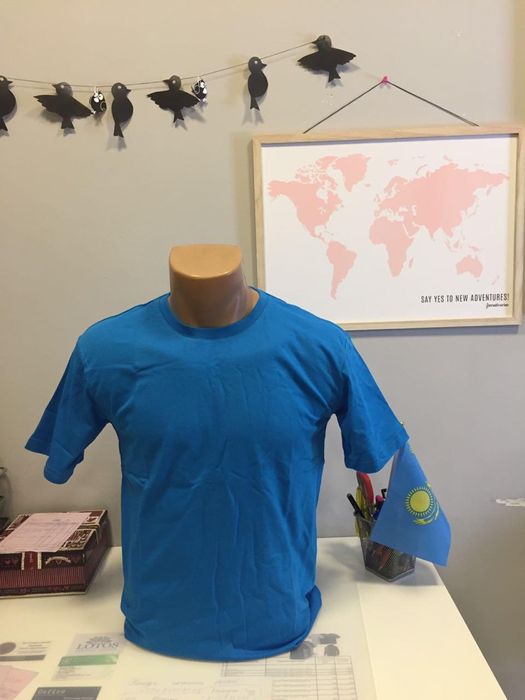 Футболки оптом! Однотонные!