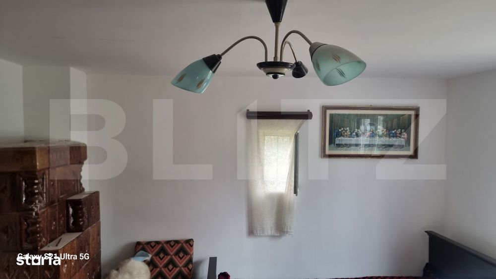TEREN zona aer curat CASA si ANEXA