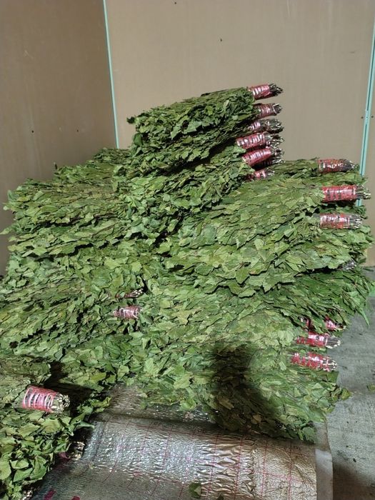 Веники для бани бани