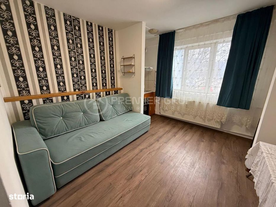 Camera de camin 18mp cu baie proprie, Pacurari, fara risc, AC