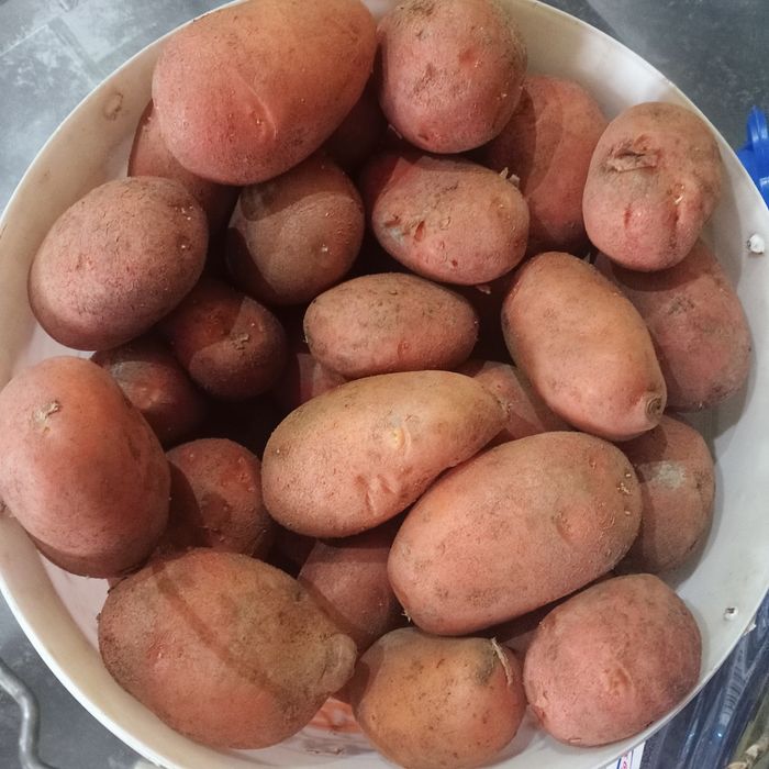 Продам дачный картофель