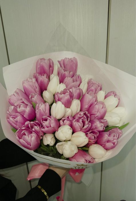 тульпаны 51 штук свежие