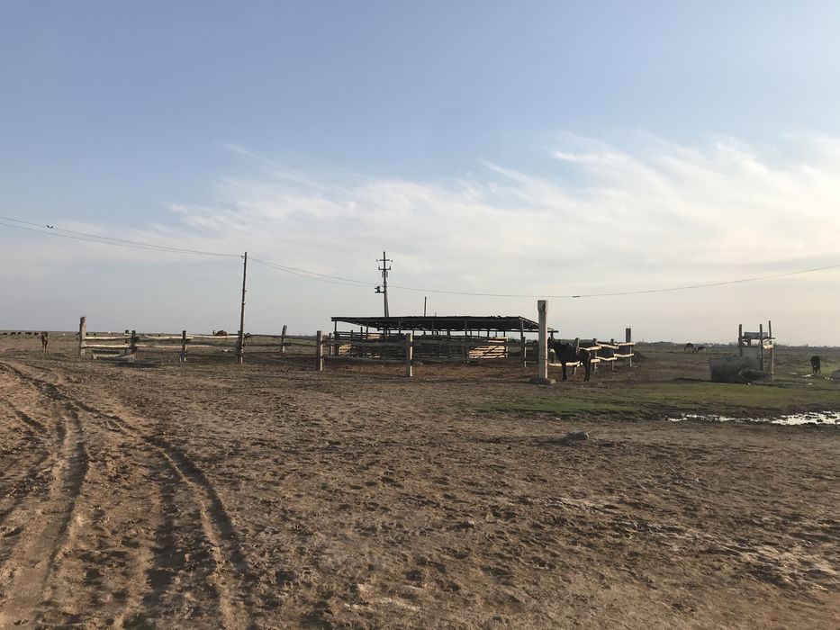 Кора, фазенда, бордах