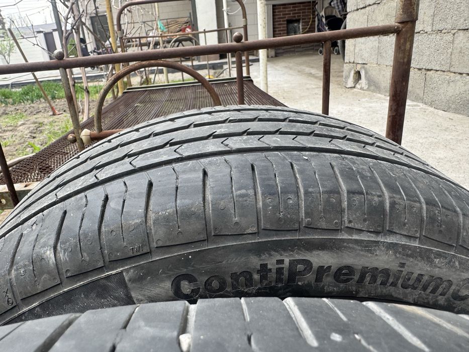 Автомобильные шины Continental