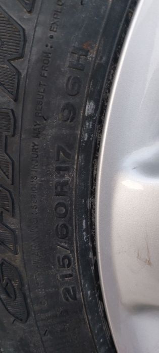 215 60 р17 дунлоп