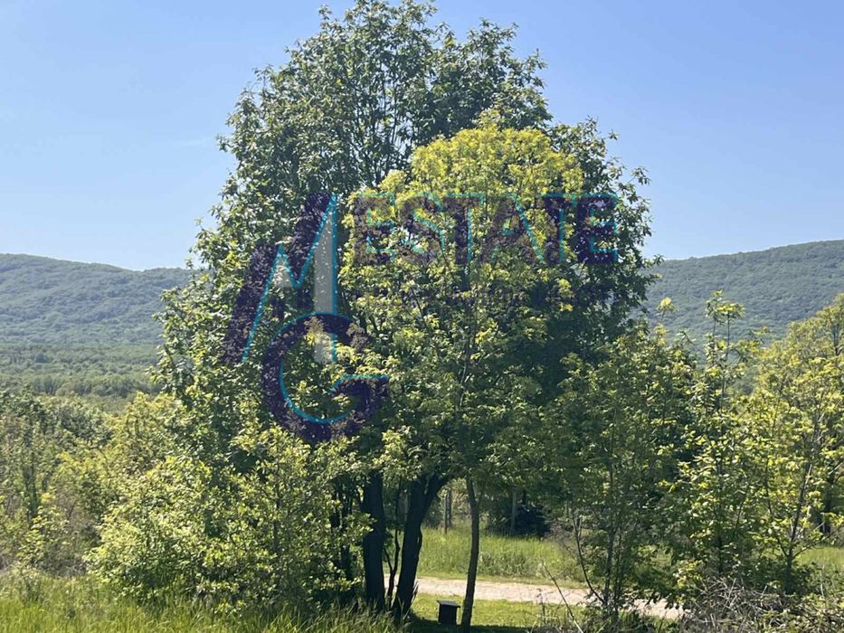 Продава се Земеделски имот в с. Велика, Област Бургас -  кв.м за 27000 €/дка - Снимка #3