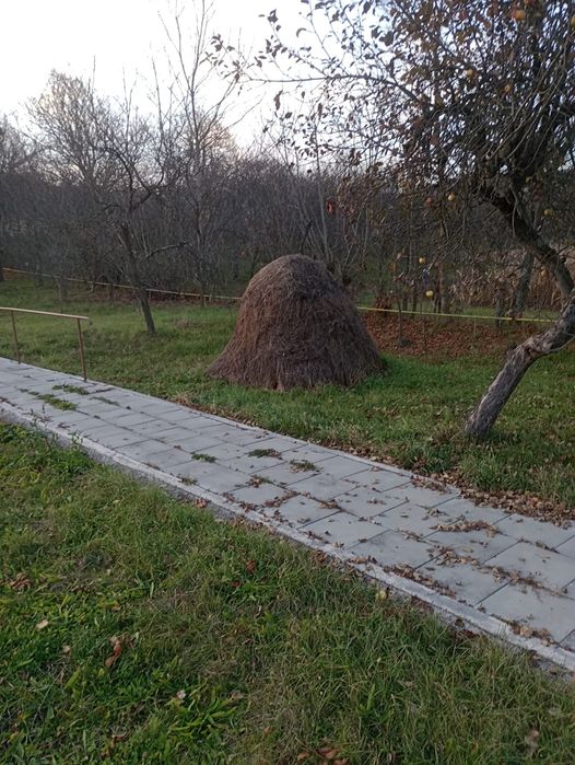 Vând un balot de lucernă și câteva căpițe de fân și otavă