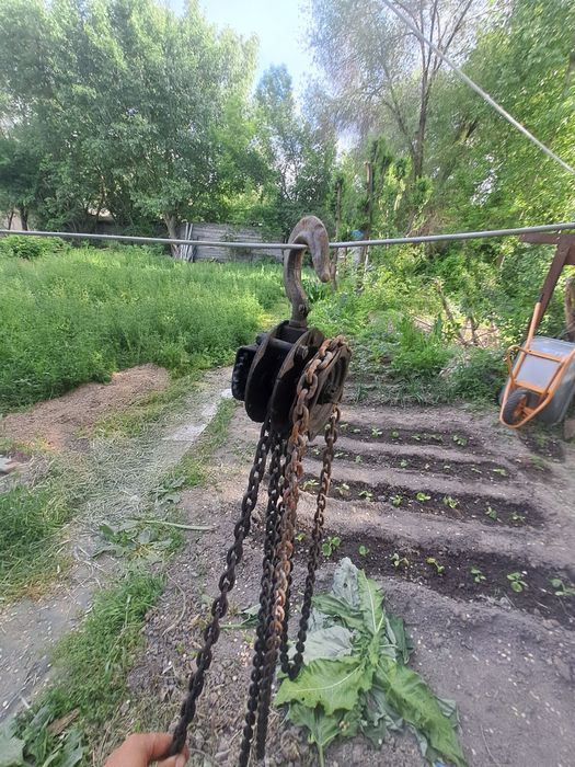 Узынагаш лебетка. Цистерно треба,