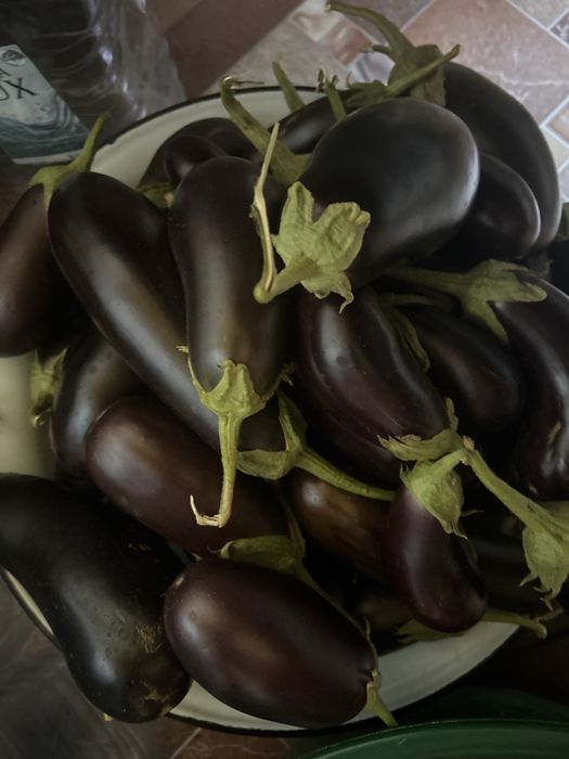 Продам баклажаны домашние