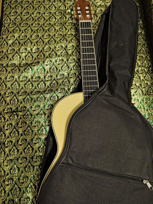 GITARA Alergia L-310-E