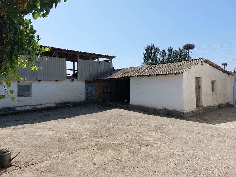 КОТА ЕР ХОВЛИ сотлвоти