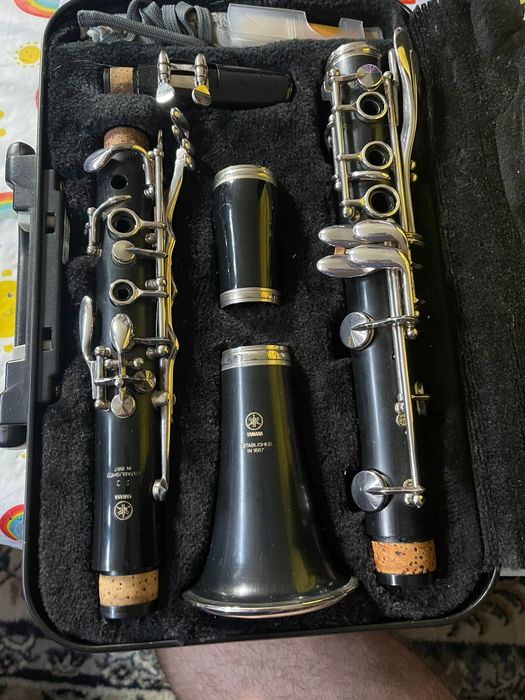 Музикални инструменти Кларинет, Цигулка,Електрическа китара и  Буфер