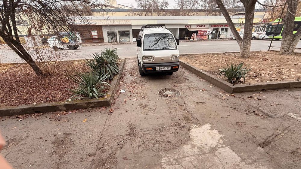 Arendaga yolli yuzida