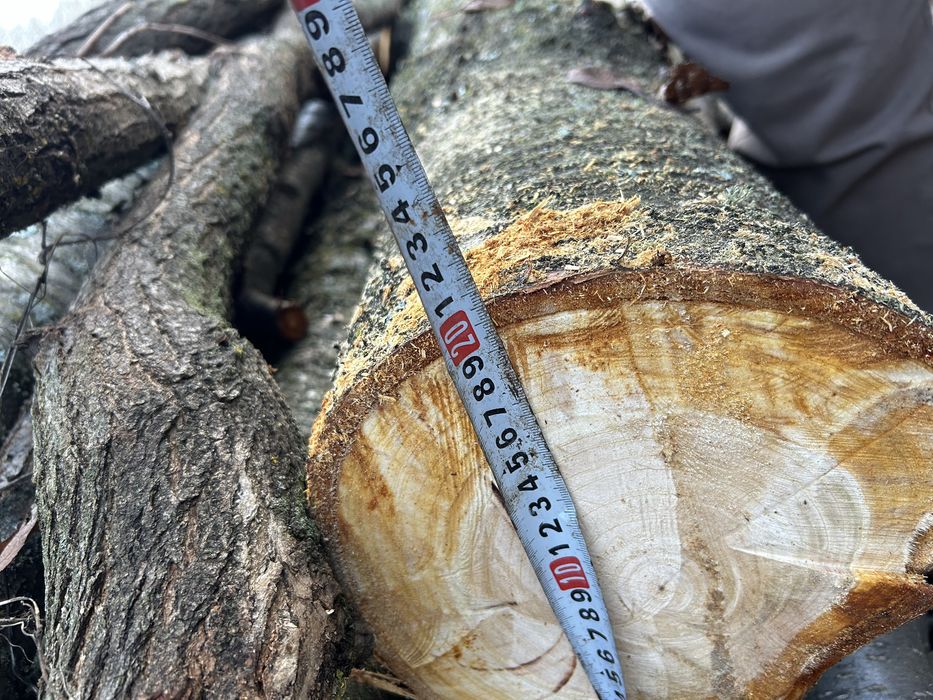 Черешов дървен материал