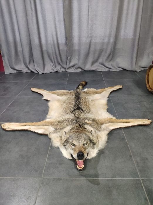 Изготовление чучело диких животных и птиц