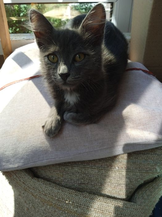 Катята девочки и мальчики