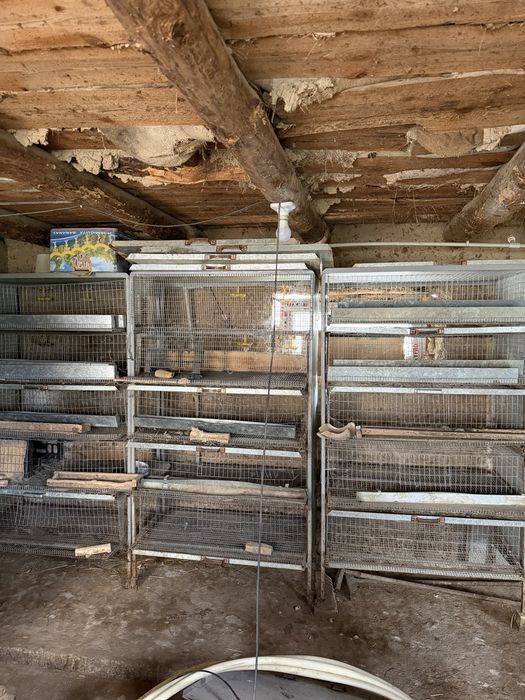 Сетка для перепелки, инкубатор