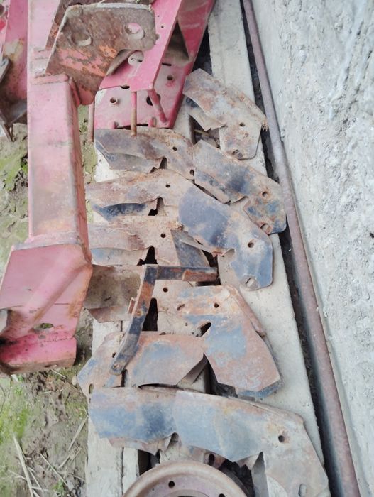 Daichi selka zabchastlari