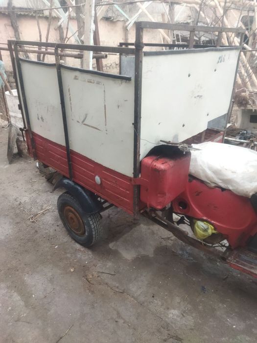 Rassiya muravey xolati yaxshi