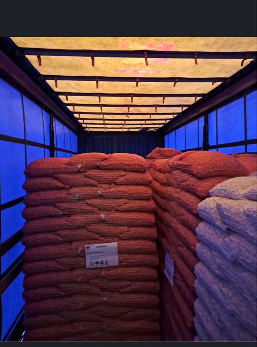 Vand Arpagic  OLANDA STUTTGARTER 14/17 14/21 10/21