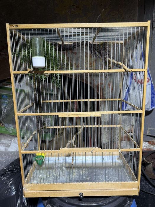 Кафез за птици канарчета