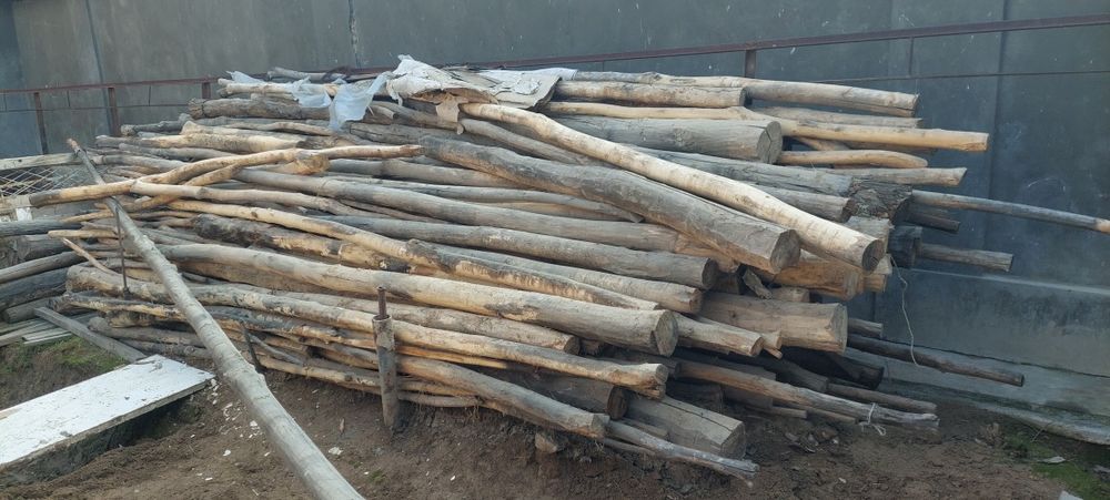 Terak to'sin starapila sotiladi 4 5 6 m dan toqilik bor uyam ichida