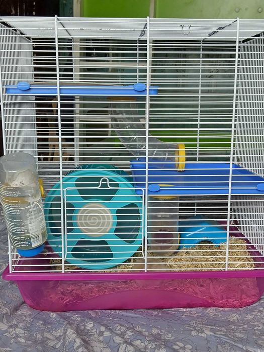 Vând hamster cu toate accesoriile și cușcă cu tobogan