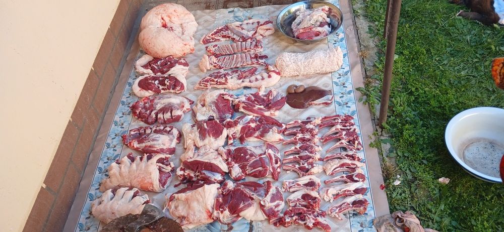 Qassob xizmati Qochqorlar sotiladi 24/7